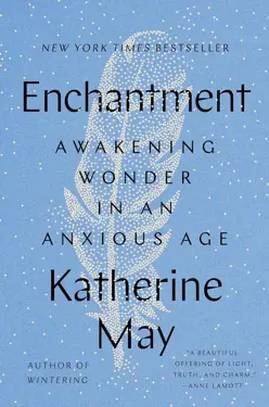 Book cover for Enchantment: Awakening Wonder in an Anxious Age by Katherine May.