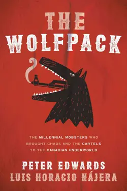 Book cover for The Wolfpack by Peter Edwards.