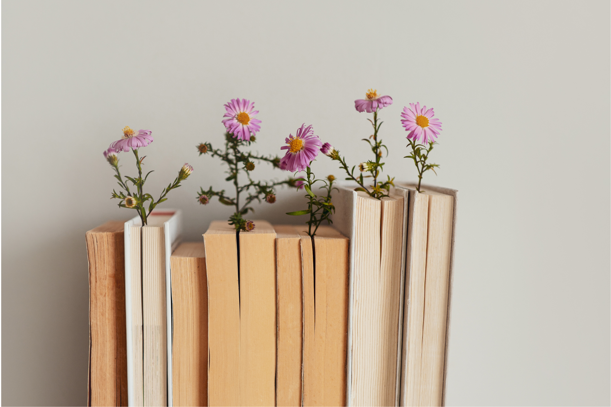 Books lined up in a row with spines facing backwards. The books have little pink flowers poking out between the pages.