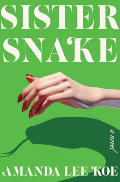 Book cover for Sister Snake by Amanda Lee Koe.