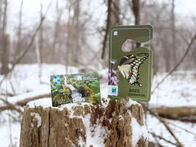 Parks admission passes sitting on a tree stump in a wintery scene.