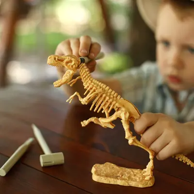 A young child playing with a dinosaur skeleton toy.